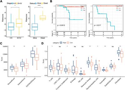 Identification of molecular subtypes and a six-gene risk model related to cuproptosis for triple negative breast cancer